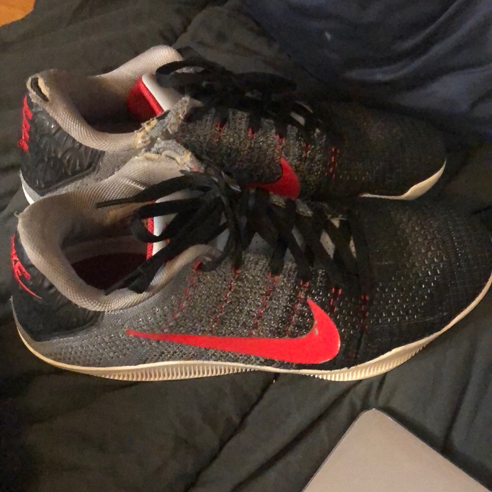 Kobe 11s